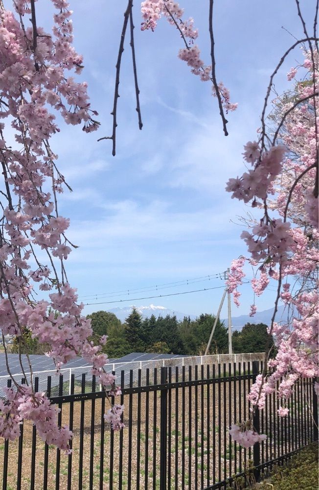 take.aさんが投稿した歌舞伎文化公園に関する口コミの画像