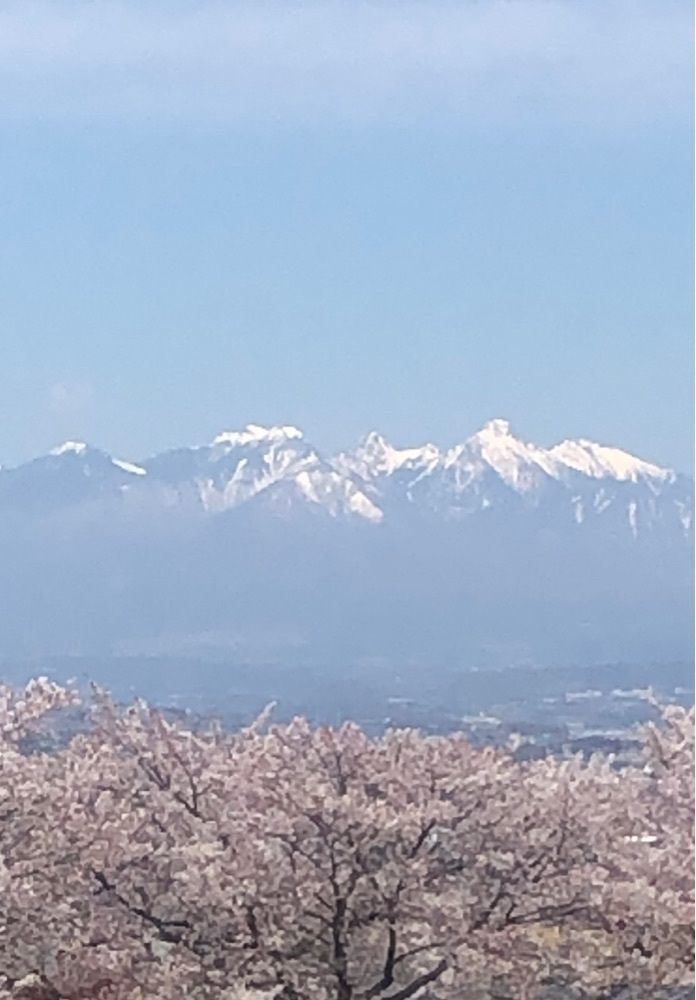 take.aさんが投稿した歌舞伎文化公園に関する口コミの画像