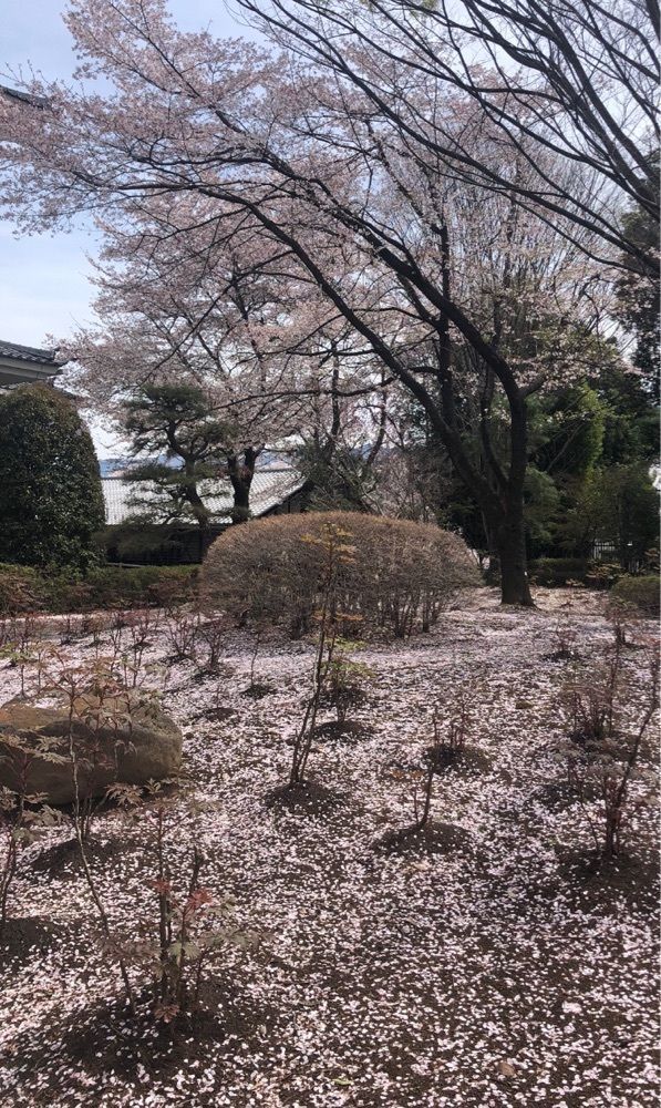 take.aさんが投稿した歌舞伎文化公園に関する口コミの画像