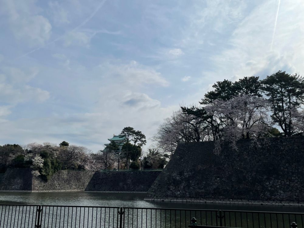 ヨッシーさんが投稿した名古屋城の桜に関する口コミの画像
