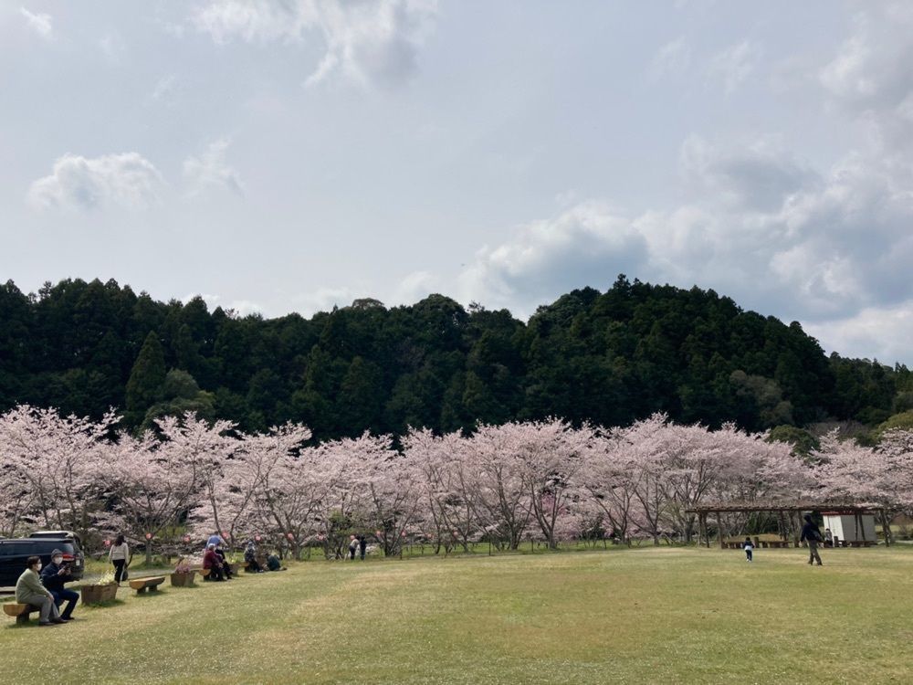 Howl Monさんが投稿した獅子ヶ鼻公園巨岩（獅子ヶ鼻）に関する口コミの画像