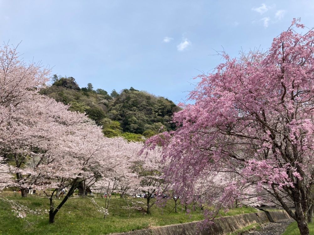 Howl Monさんが投稿した獅子ヶ鼻公園巨岩（獅子ヶ鼻）に関する口コミの画像
