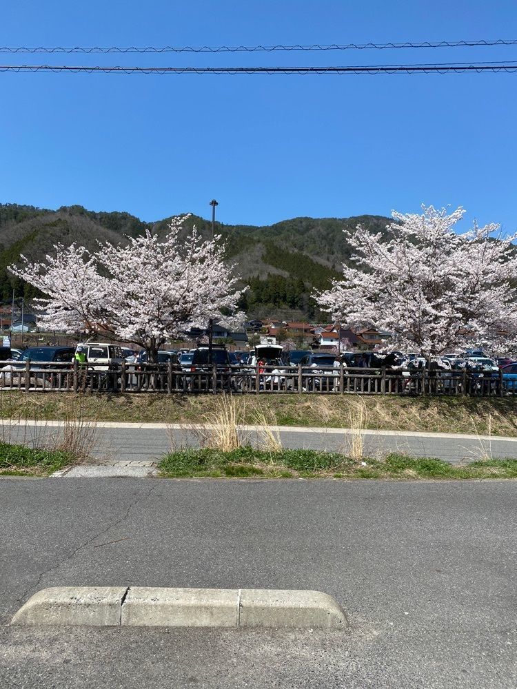 あるふぃすたさんが投稿した十方山に関する口コミの画像
