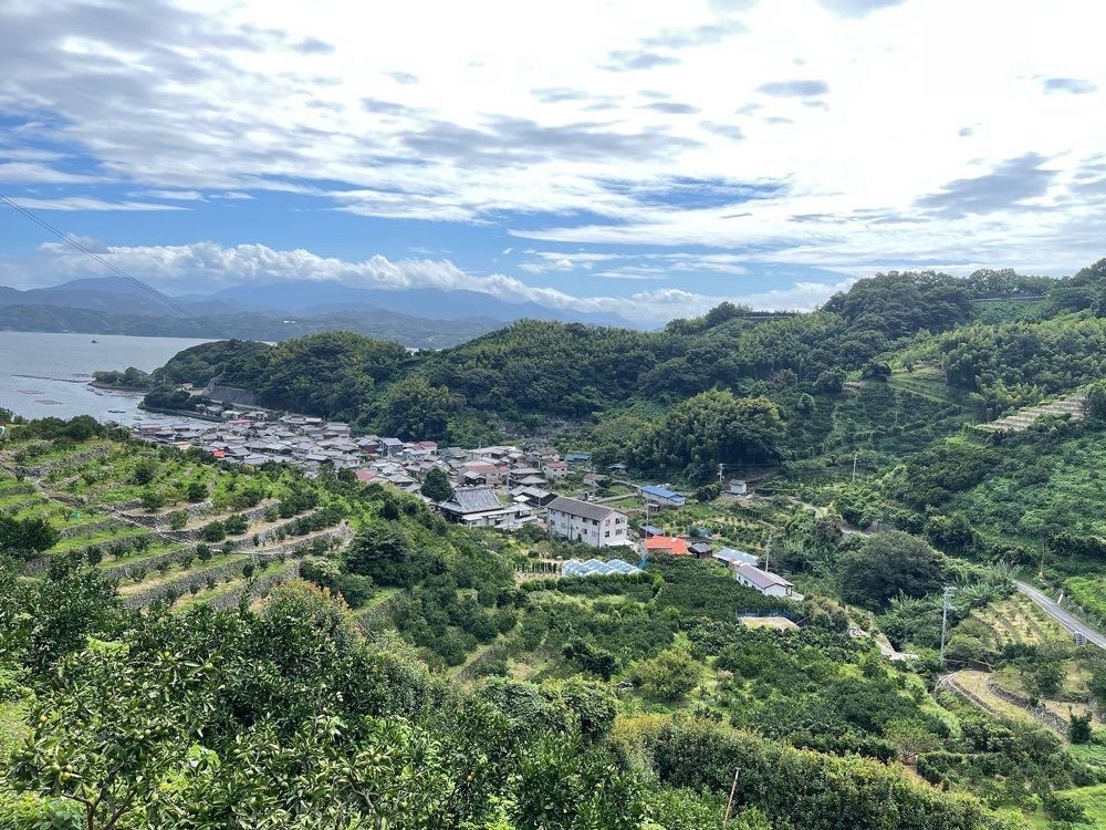 Qsaさんが投稿した段々畑に関する口コミの画像