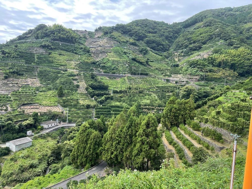 Qsaさんが投稿した段々畑に関する口コミの画像