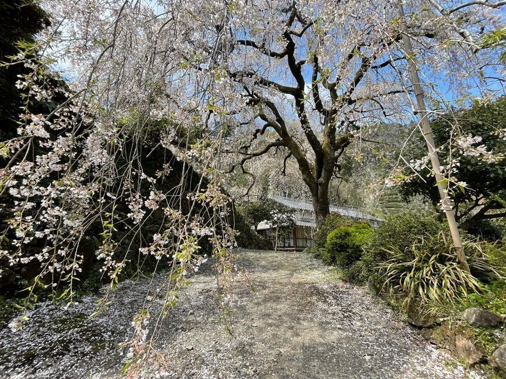みぃさんが投稿した岩屋川渓谷に関する口コミの画像