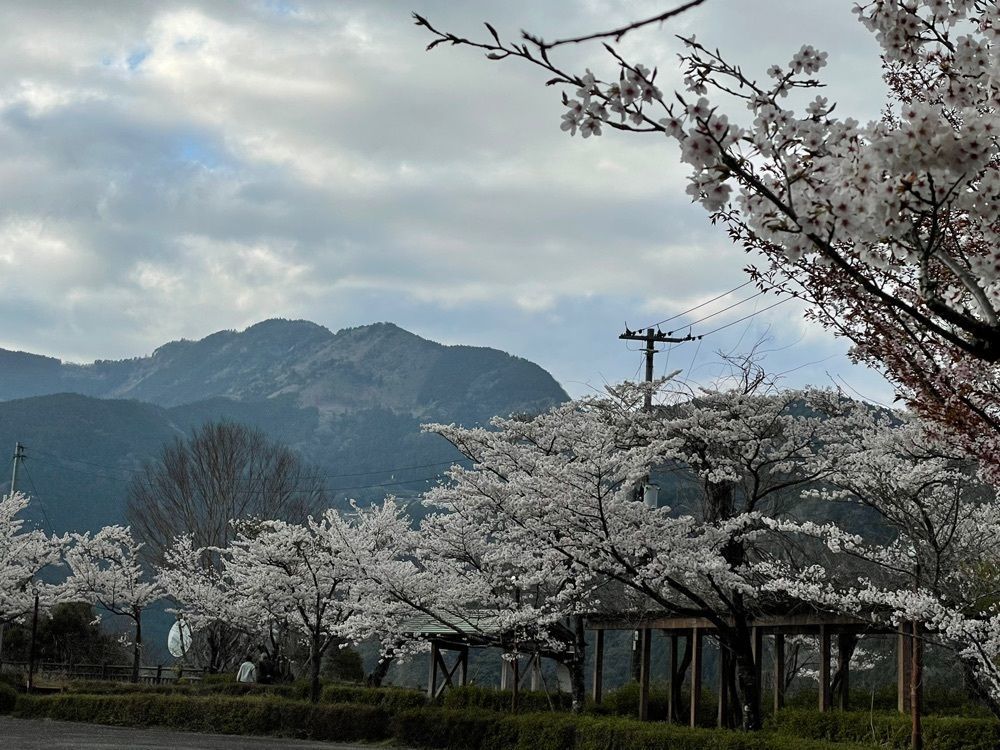みぃさんが投稿した早明浦ダムに関する口コミの画像