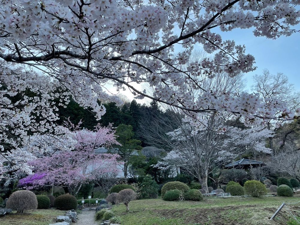 s.kさんが投稿した道の駅 和紙の里ひがしちちぶに関する口コミの画像