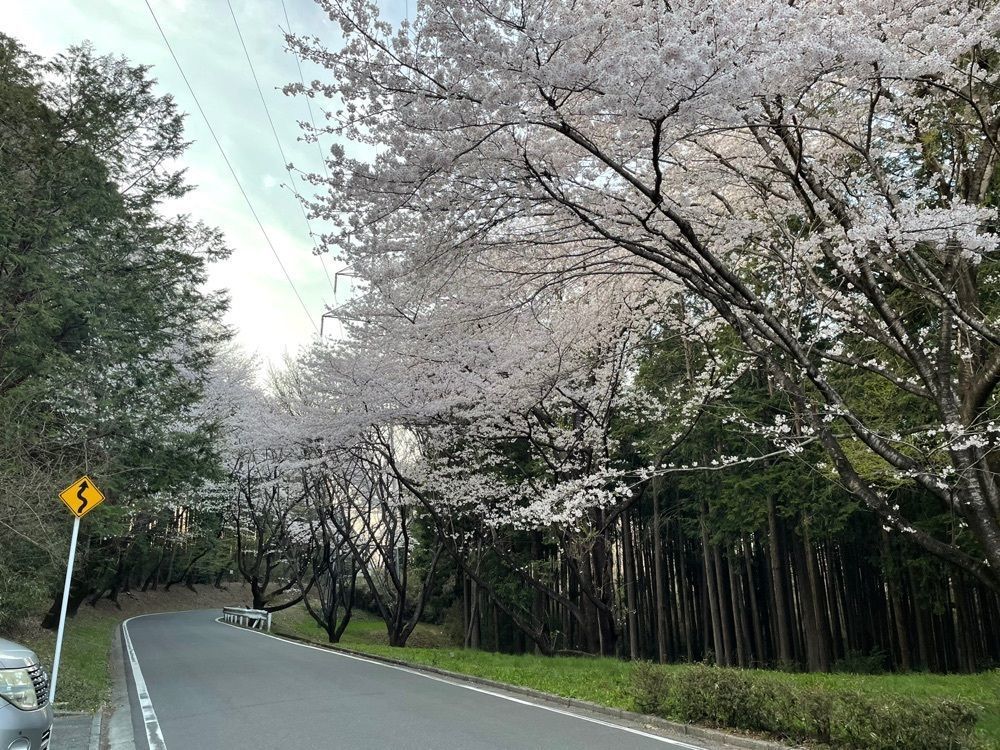s.kさんが投稿した笛吹峠に関する口コミの画像