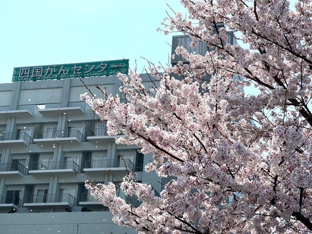 96_take4さんが投稿したセブンイレブン 四国がんセンターに関する口コミの画像