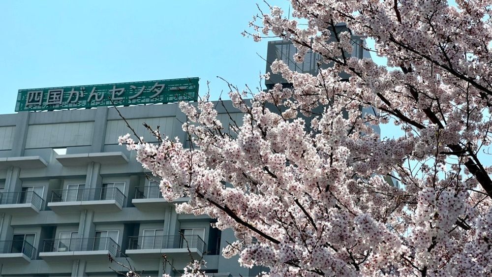 96_take4さんが投稿したセブンイレブン 四国がんセンターに関する口コミの画像