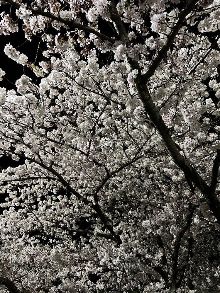 soccer kozou さんが投稿した垂坂公園・羽津山緑地に関する口コミの画像