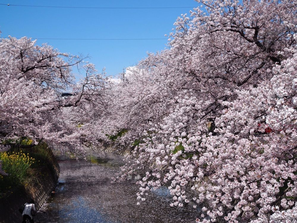 なおなおさんが投稿した岩倉駅に関する口コミの画像