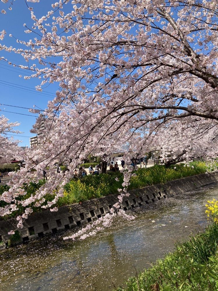 なおなおさんが投稿した岩倉駅に関する口コミの画像