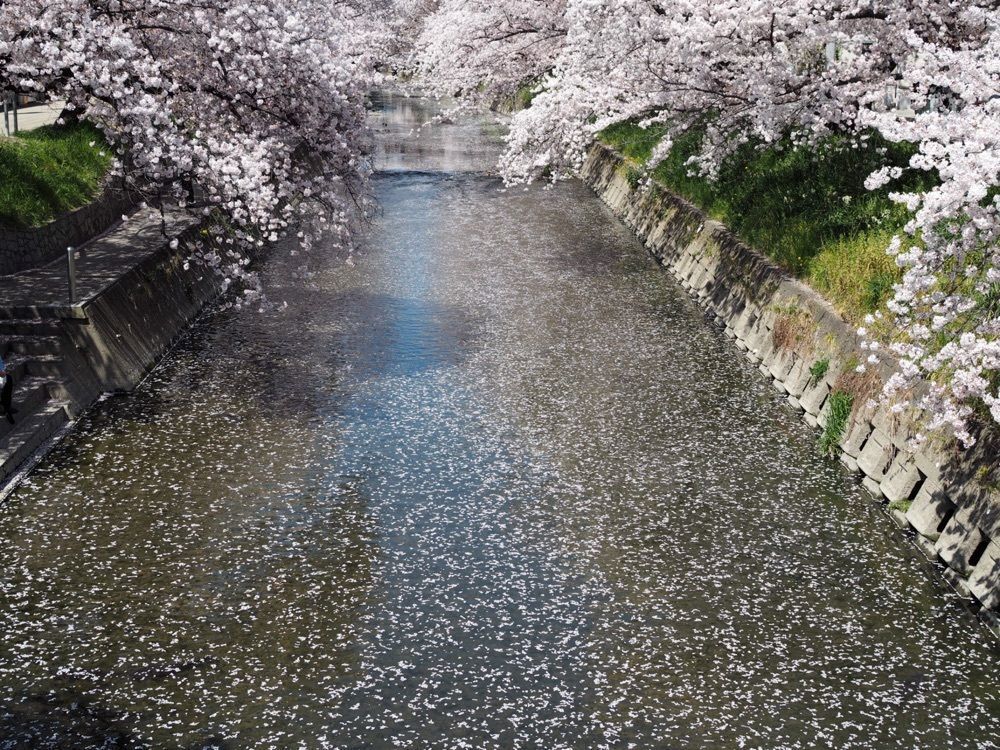 なおなおさんが投稿した岩倉駅に関する口コミの画像