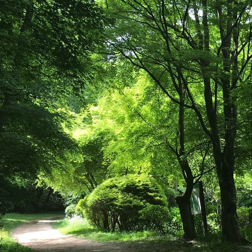 yumi*iさんが投稿した高山城跡に関する口コミの画像
