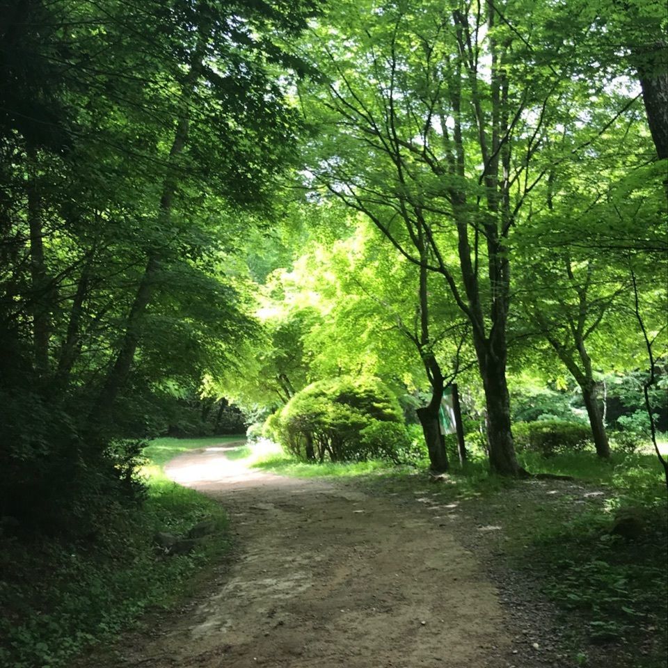 yumi*iさんが投稿した高山城跡に関する口コミの画像