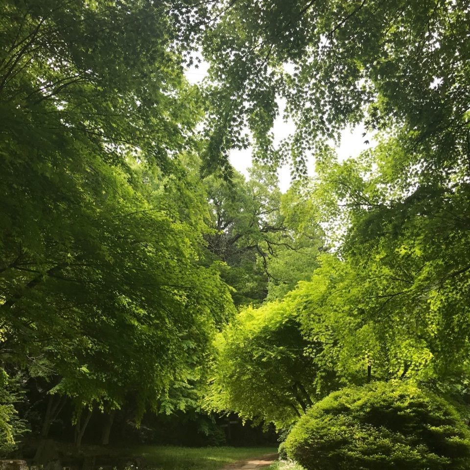 yumi*iさんが投稿した高山城跡に関する口コミの画像