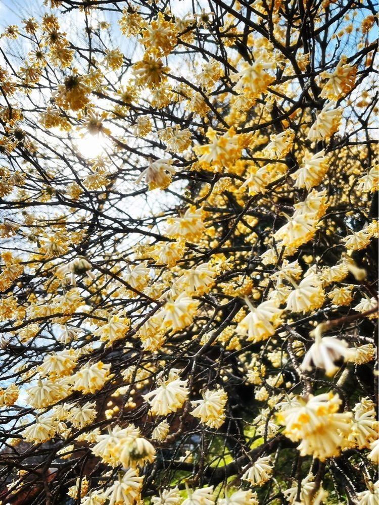 猫なぎ。さんが投稿したアウシュヴィッツ平和博物館に関する口コミの画像