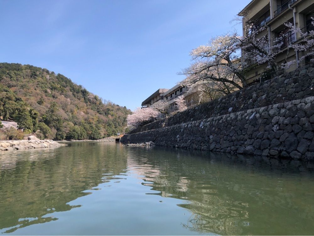 kawatyuさんが投稿した宇治川観光遊覧船に関する口コミの画像