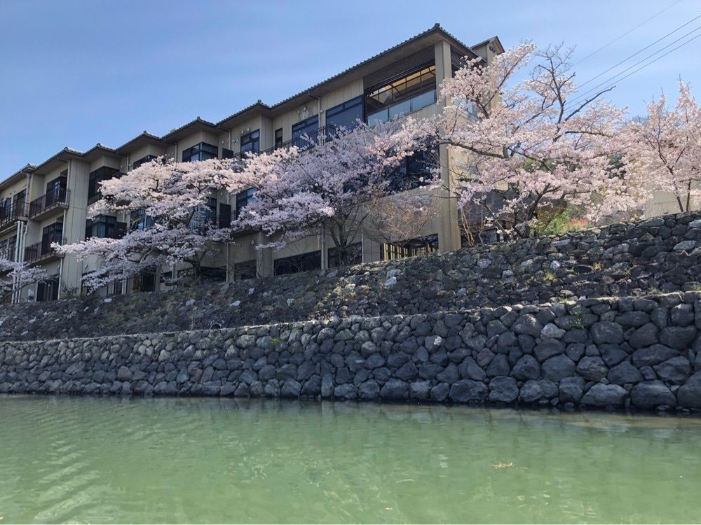 kawatyuさんが投稿した宇治川観光遊覧船に関する口コミの画像