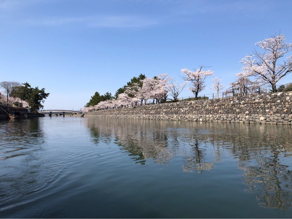 kawatyuさんが投稿した宇治川観光遊覧船に関する口コミの画像