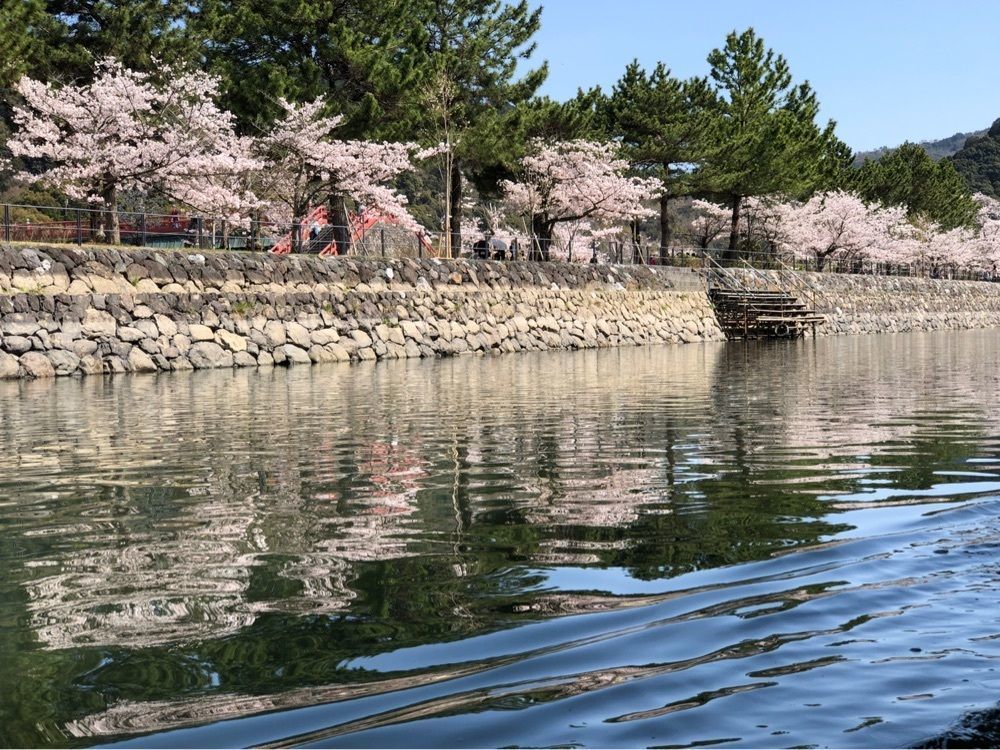 kawatyuさんが投稿した宇治川観光遊覧船に関する口コミの画像