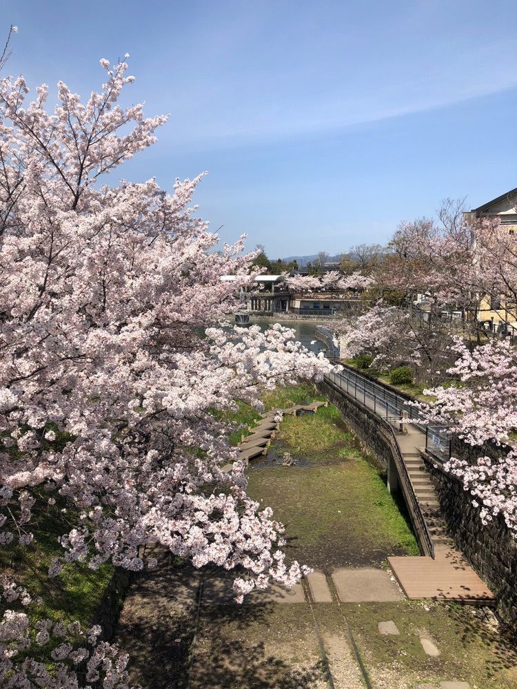 雲霧さんが投稿した琵琶湖疏水記念館に関する口コミの画像
