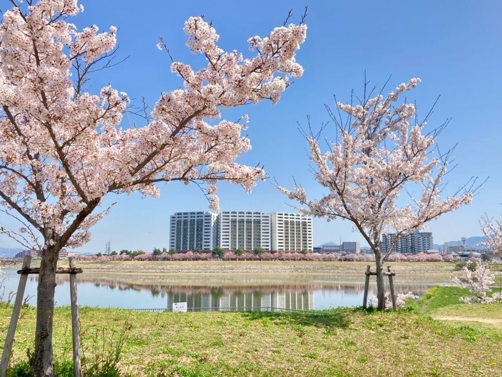 ハッシーさんが投稿した狭山池に関する口コミの画像