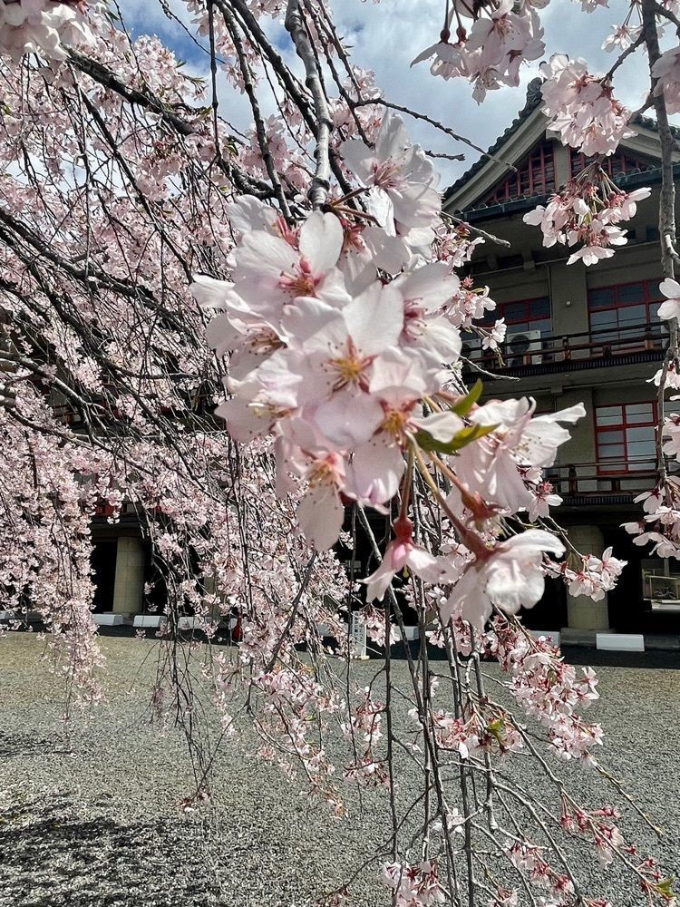 kei_koさんが投稿した醍醐池に関する口コミの画像