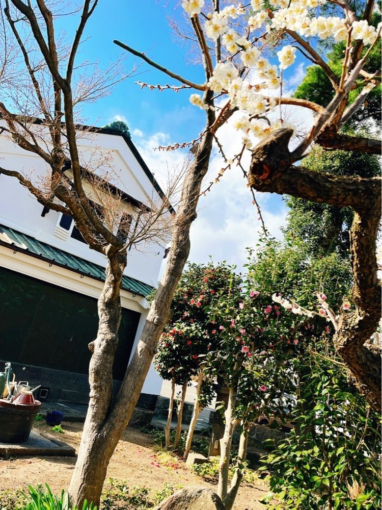猫なぎ。さんが投稿した故郷だいにんぐ まるよしに関する口コミの画像