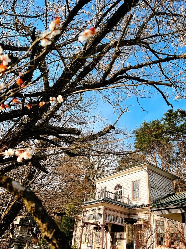 猫なぎ。さんが投稿したランプカフェ（Lamp Cafe）に関する口コミの画像