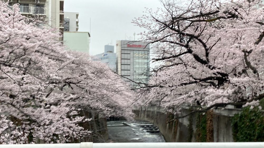 familiar_street_6c29さんが投稿した面影橋に関する口コミの画像