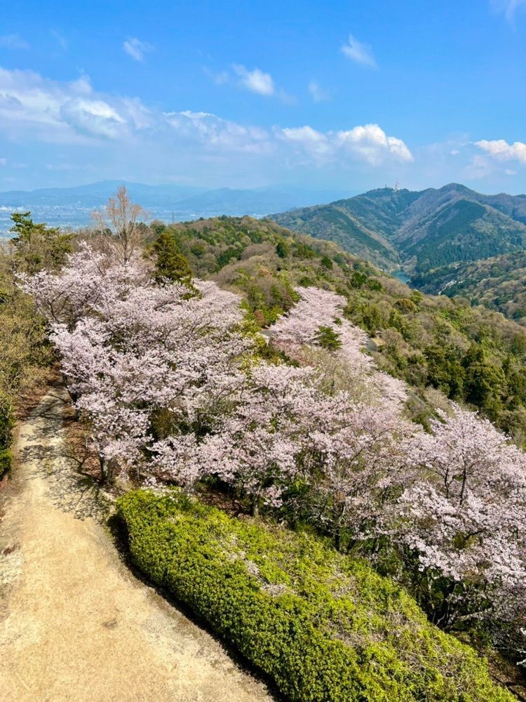 96_take4さんが投稿した谷上山公園に関する口コミの画像