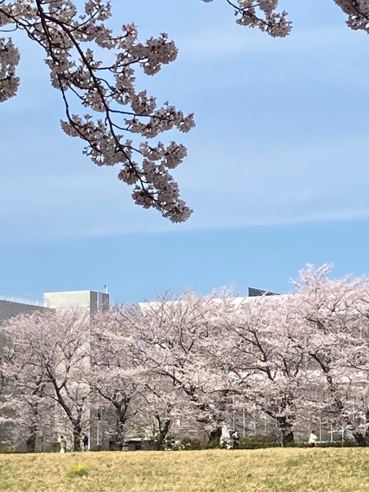 augustriver12さんが投稿した運河水辺公園に関する口コミの画像