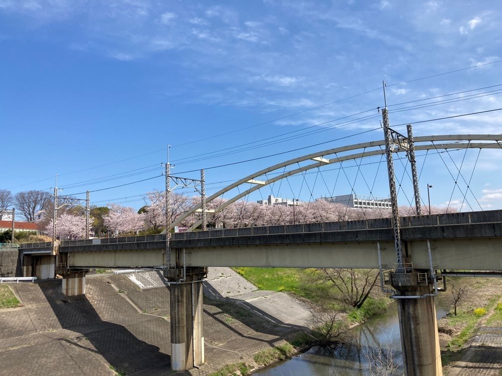 augustriver12さんが投稿した運河水辺公園に関する口コミの画像