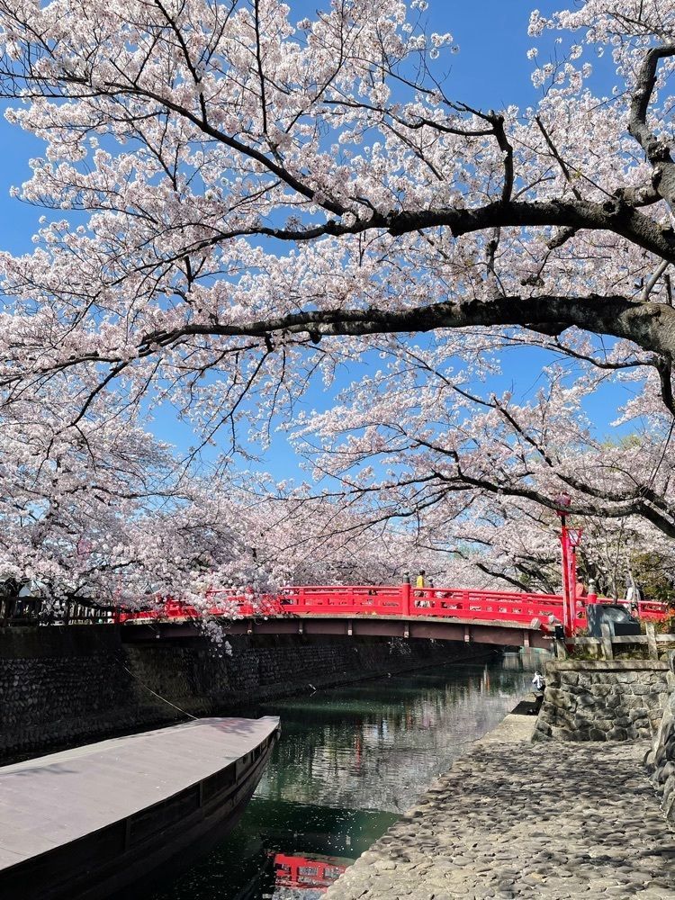 ダルマ大使さんが投稿した大垣市奥の細道むすびの地記念館に関する口コミの画像