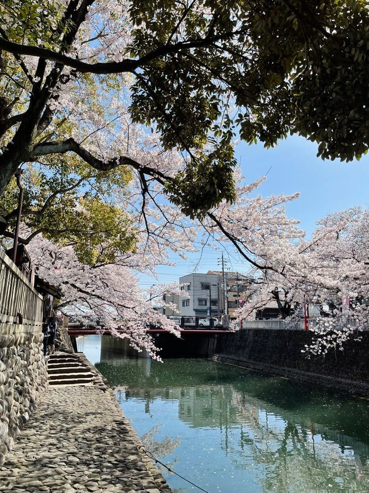 ダルマ大使さんが投稿した大垣市奥の細道むすびの地記念館に関する口コミの画像