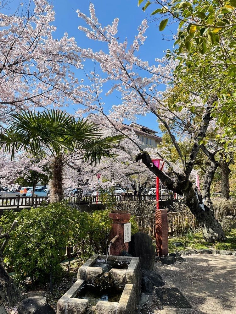 ダルマ大使さんが投稿した大垣市奥の細道むすびの地記念館に関する口コミの画像