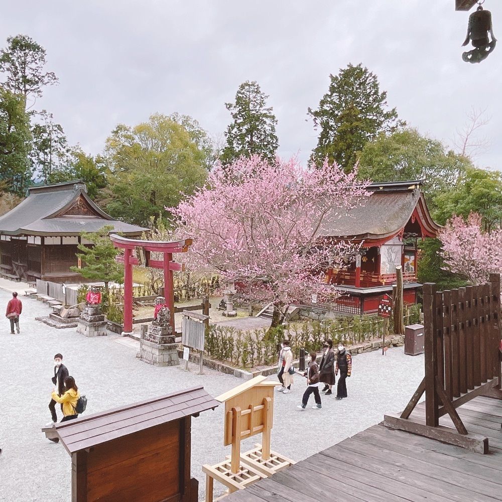 Danjouさんが投稿した金峯山寺仁王門に関する口コミの画像