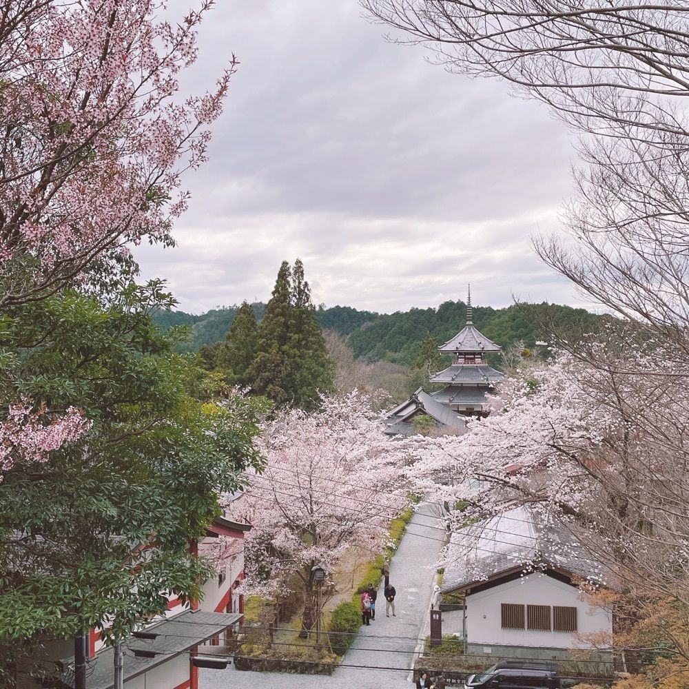 Danjouさんが投稿した金峯山寺仁王門に関する口コミの画像