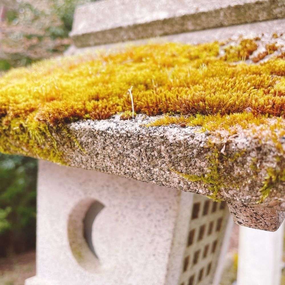 Danjouさんが投稿した金峯山寺仁王門に関する口コミの画像
