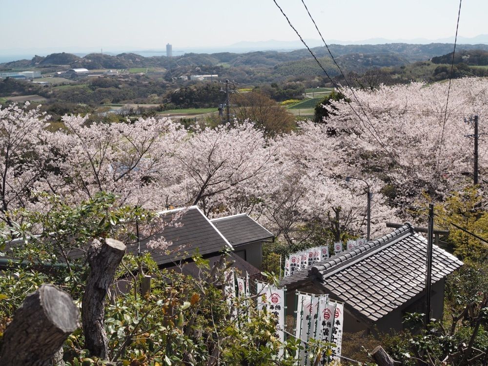なおなおさんが投稿した豊浜に関する口コミの画像