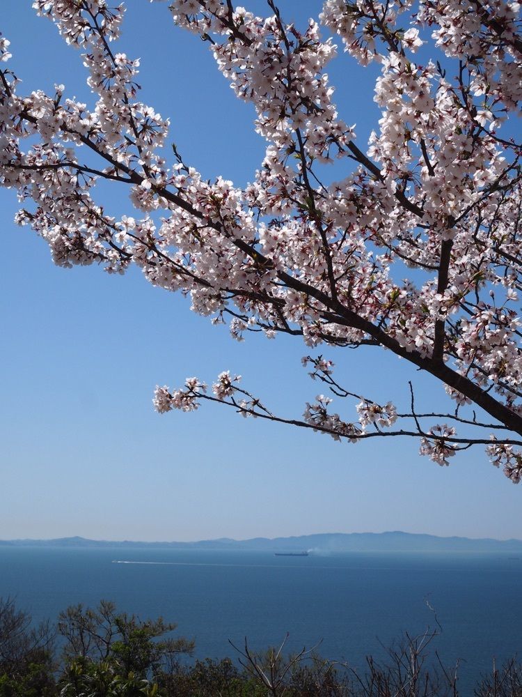 なおなおさんが投稿した豊浜に関する口コミの画像