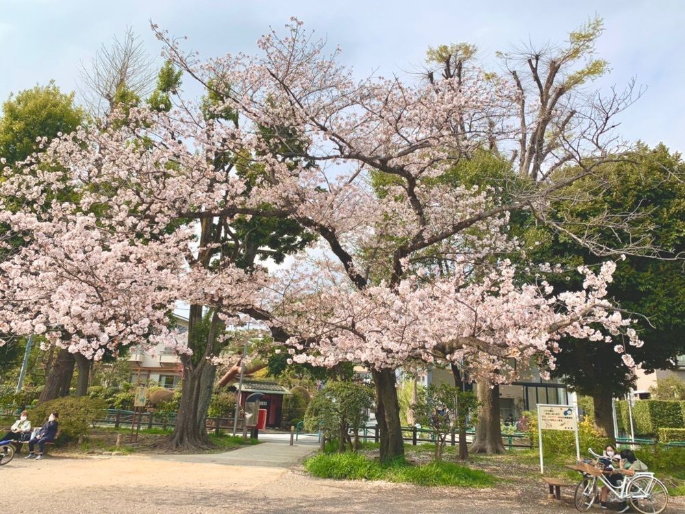 junkunさんが投稿したケンタッキーフライドチキン 関町店に関する口コミの画像