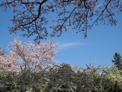 愛知県緑化センター・昭和の森 7枚目
