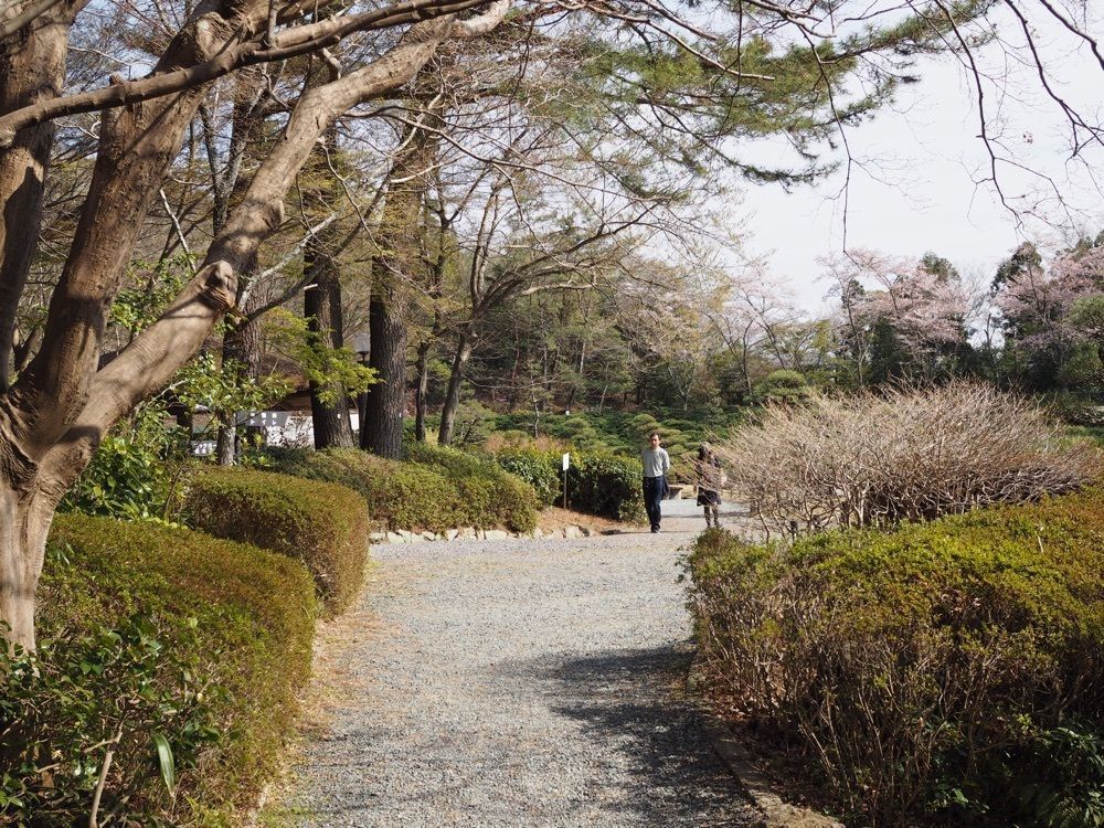 なおなおさんが投稿した愛知県緑化センター・昭和の森に関する口コミの画像