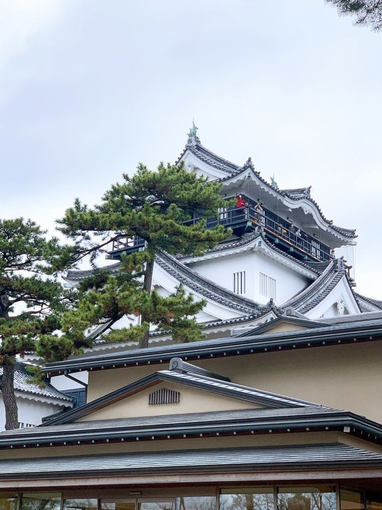 み〜のさんが投稿した岡崎城下家康公夏まつりに関する口コミの画像
