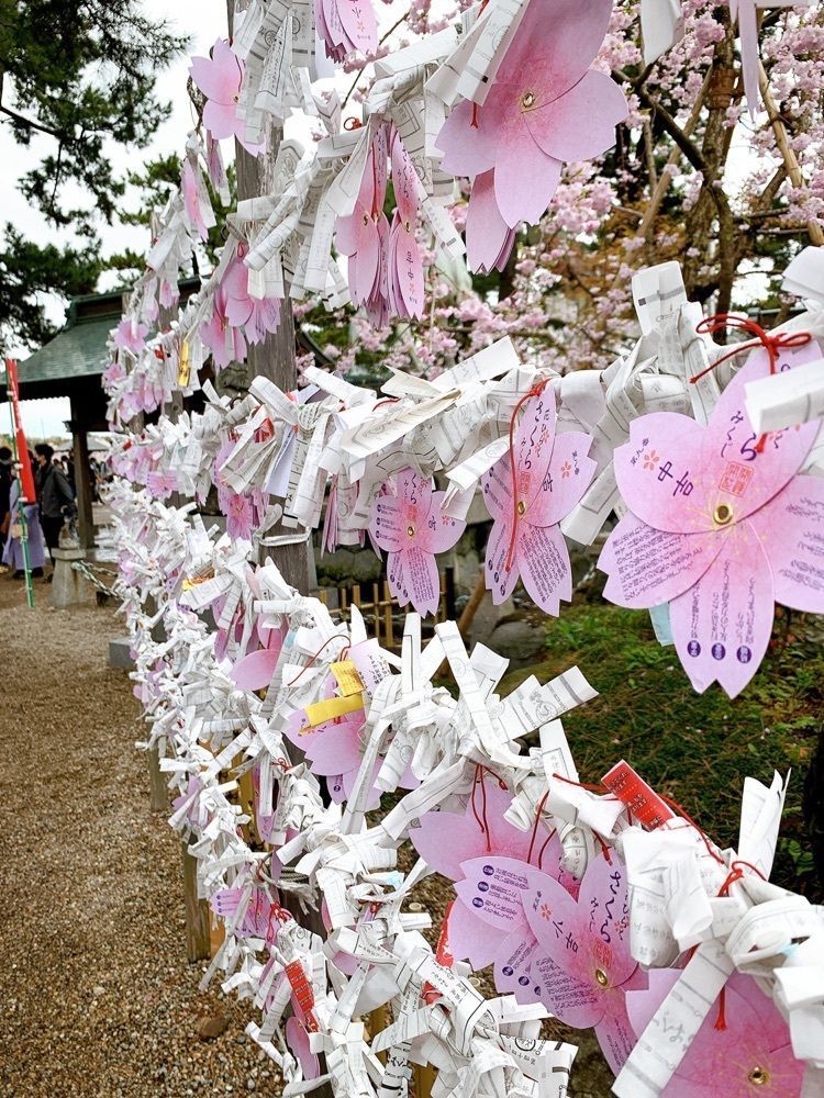 み〜のさんが投稿した岡崎城下家康公夏まつりに関する口コミの画像