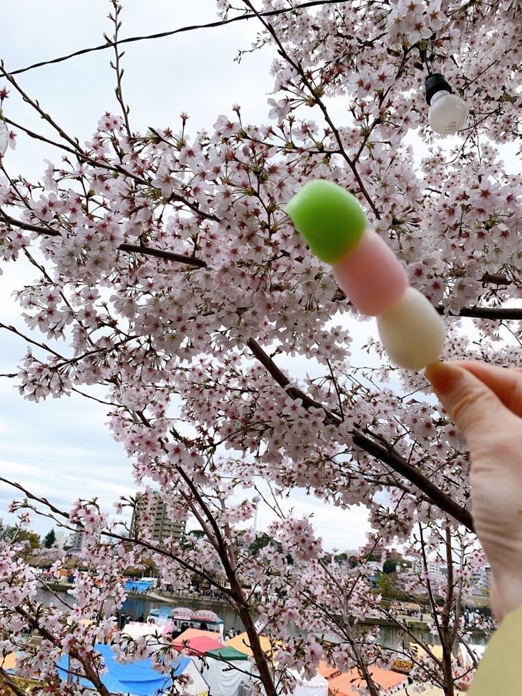 み〜のさんが投稿した岡崎城下家康公夏まつりに関する口コミの画像